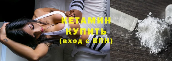 сатива Горняк