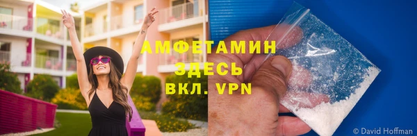 круглые Гусев