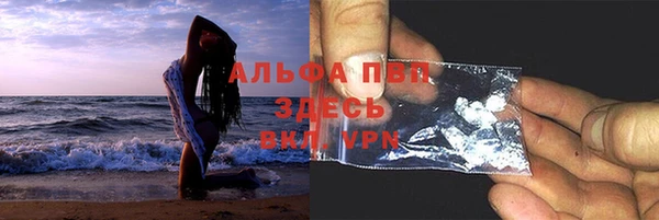 круглые Гусев