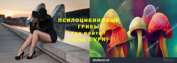 круглые Гусев