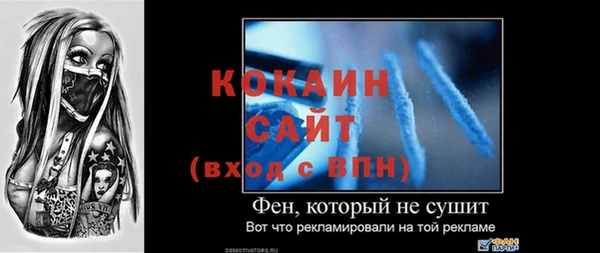 круглые Гусев