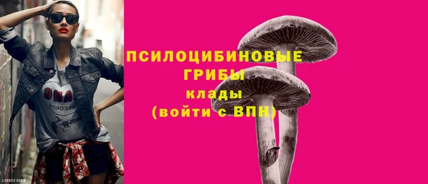 круглые Гусев