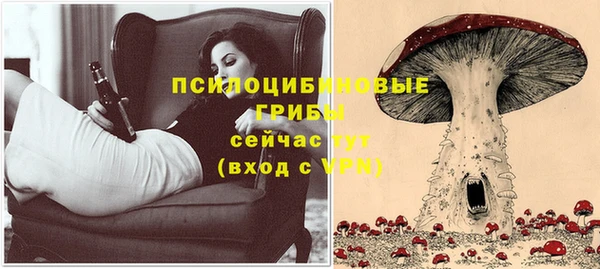 круглые Гусев