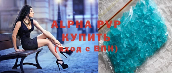 круглые Гусев