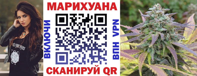 Канабис планчик  Заполярный 